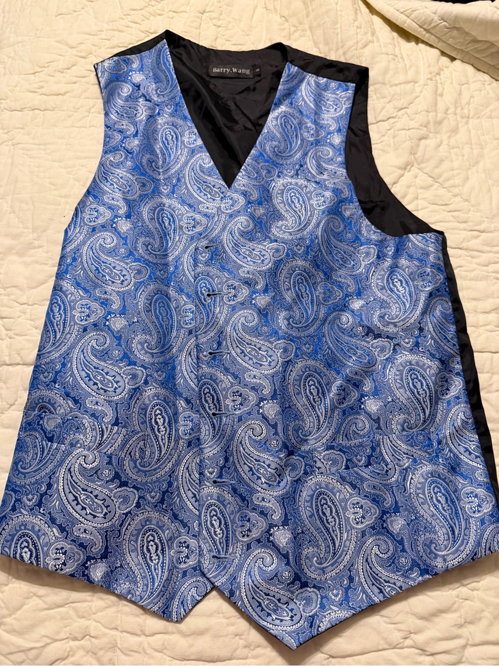Blue Paisley Men's Vest